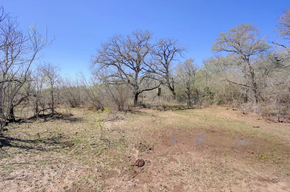 Cr 420 Waelder, TX 78959