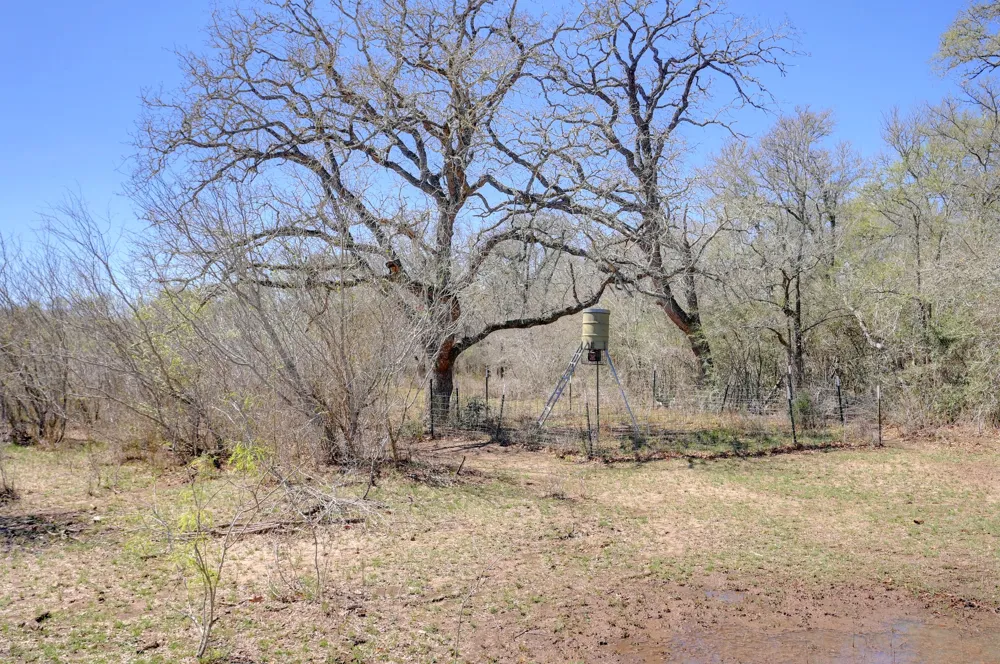Cr 420 Waelder, TX 78959