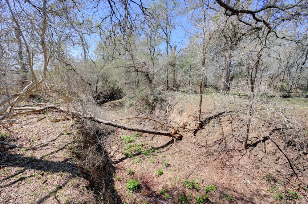 Cr 420 Waelder, TX 78959