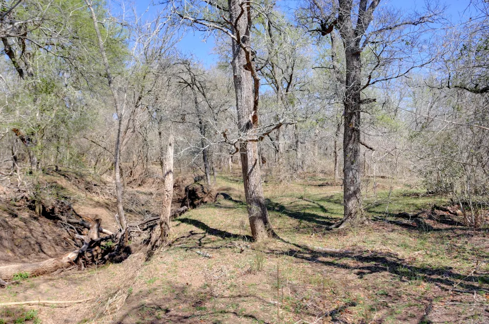 Cr 420 Waelder, TX 78959