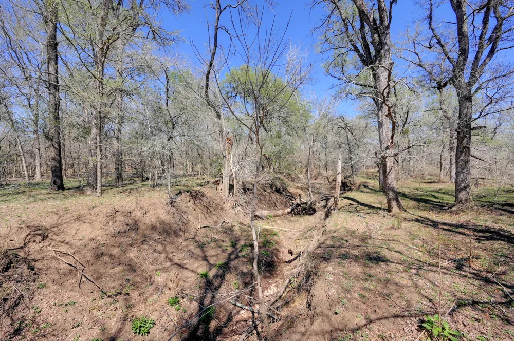 Cr 420 Waelder, TX 78959