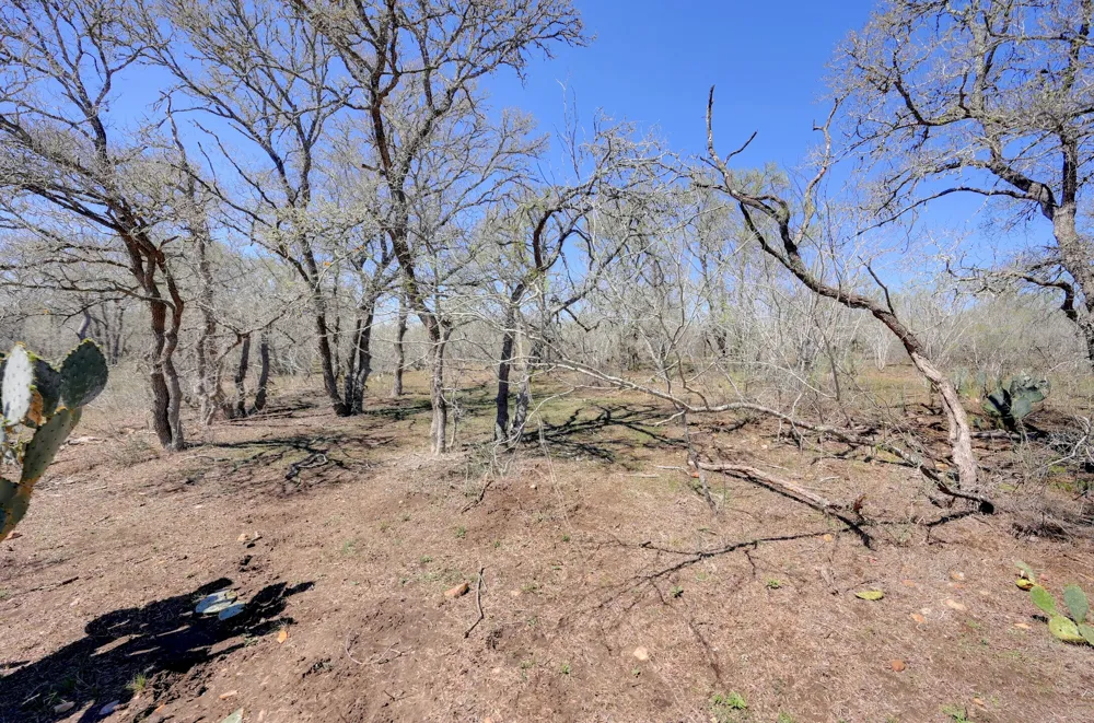 FM 2814 Waelder, TX 78959