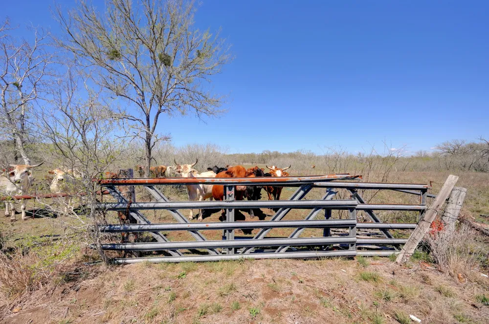 FM 2814 Waelder, TX 78959