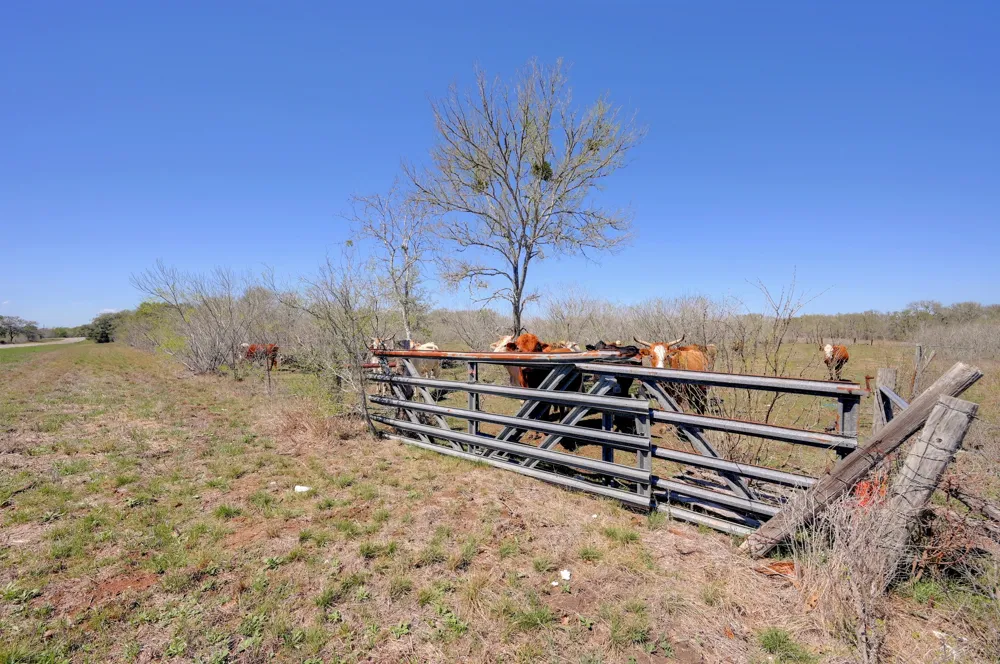 FM 2814 Waelder, TX 78959