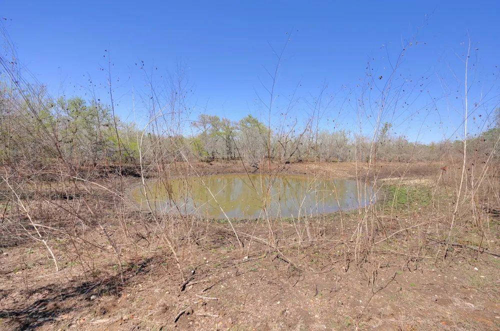 FM 2814 Waelder, TX 78959