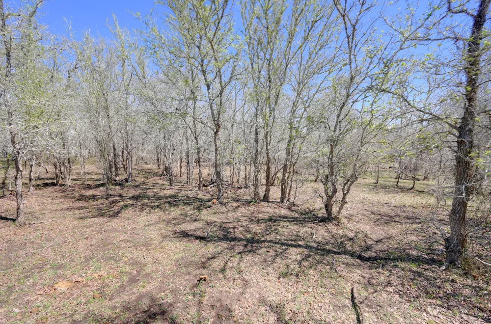 FM 2814 Waelder, TX 78959
