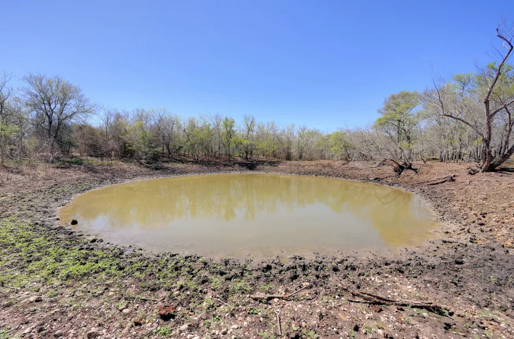 FM 2814 Waelder, TX 78959