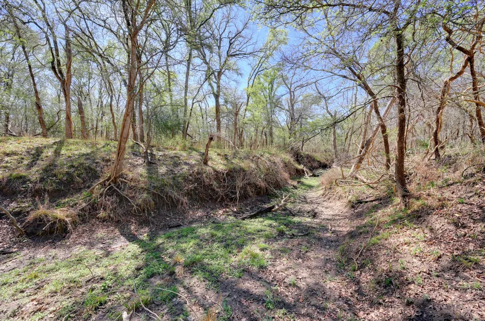 Cr 397 Waelder, TX 78959