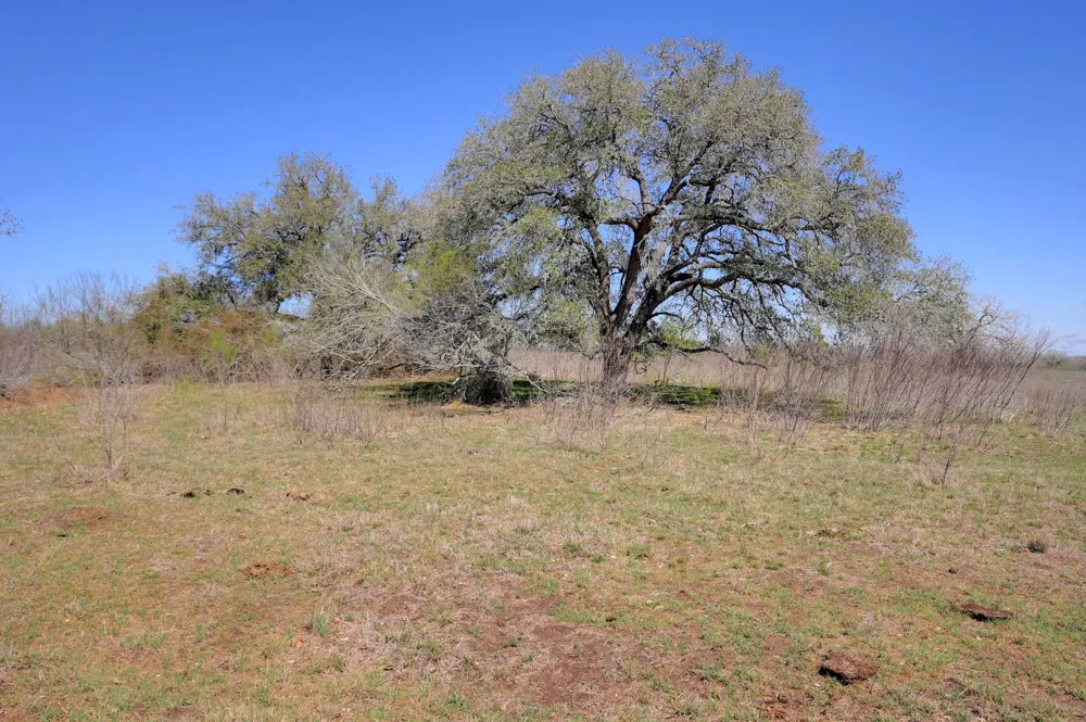 Cr 397 Waelder, TX 78959