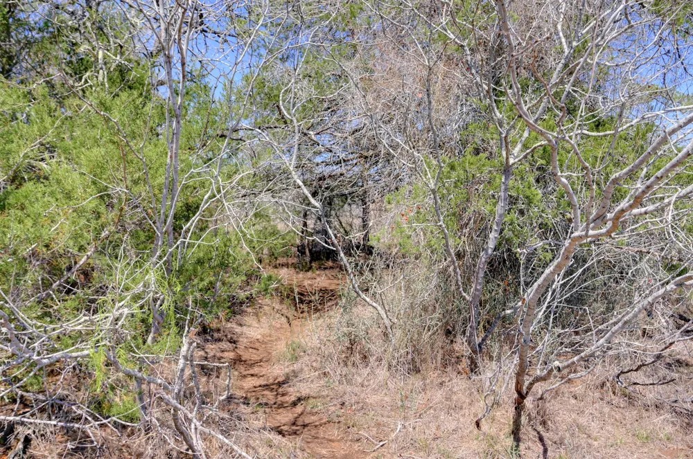 Cr 397 Waelder, TX 78959