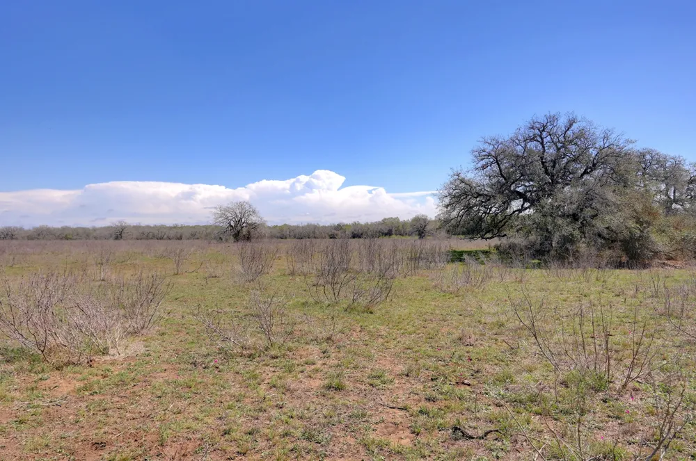 Cr 397 Waelder, TX 78959