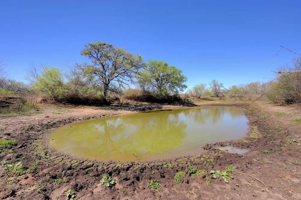 Cr 397 Waelder, TX 78959