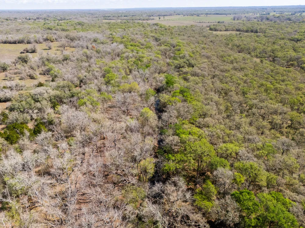 Cr 397 Waelder, TX 78959