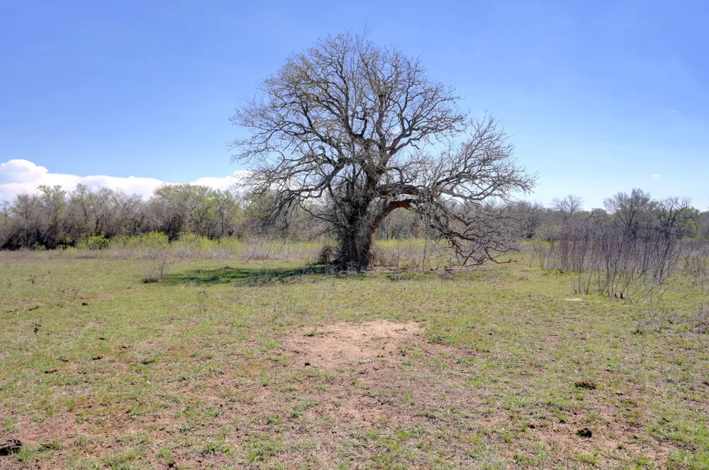 Cr 397 Waelder, TX 78959