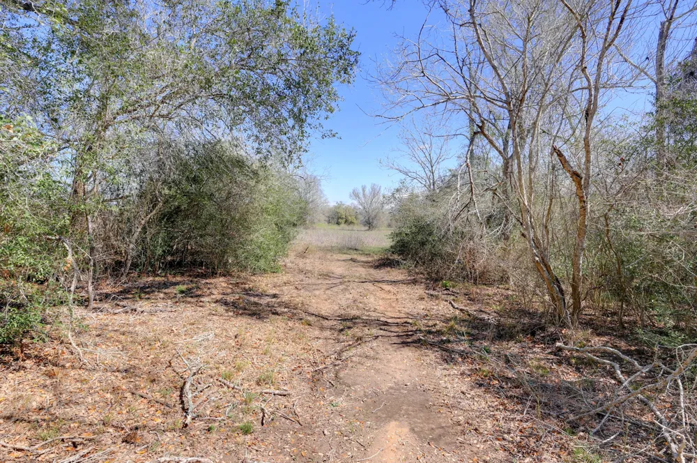 Cr 397 Waelder, TX 78959