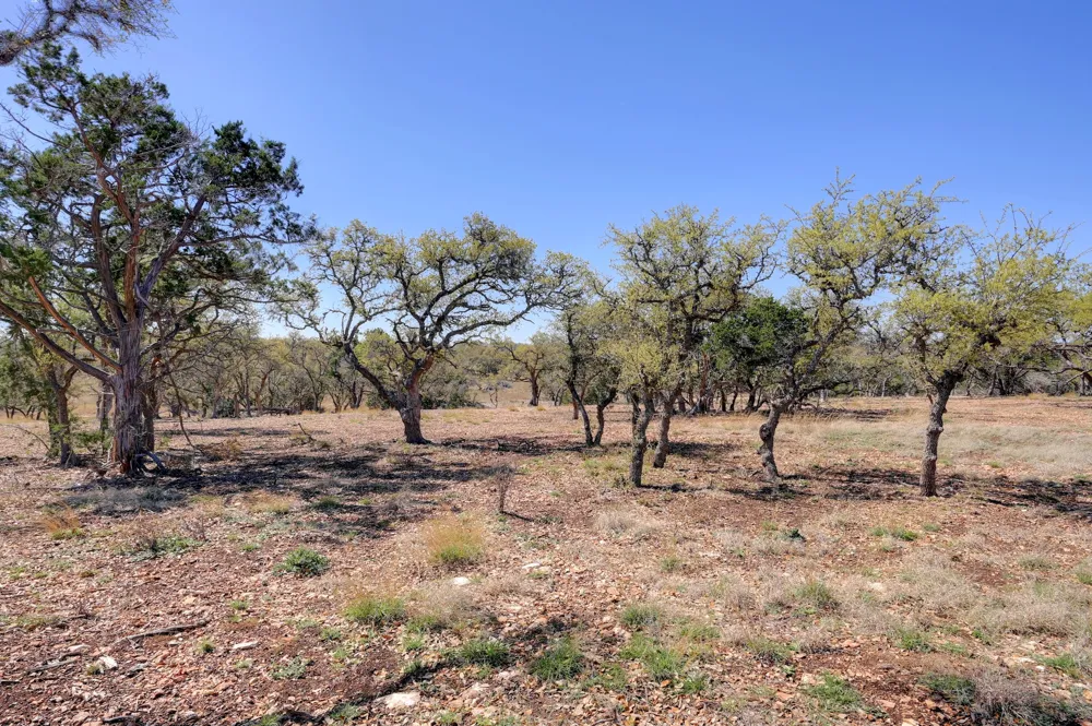 2803 Zenner Ahrens Road Fredericksburg, TX 78624