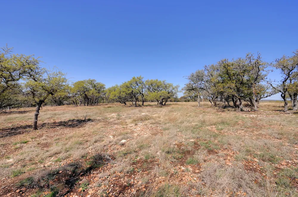 2803 Zenner Ahrens Road Fredericksburg, TX 78624