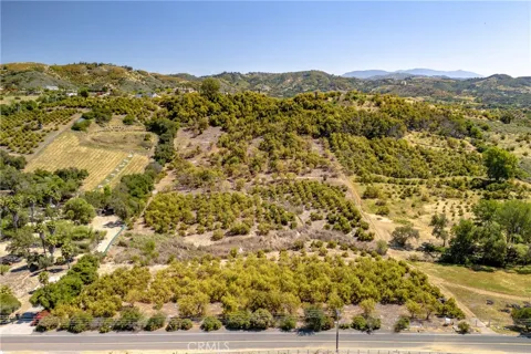 14 Carancho Road