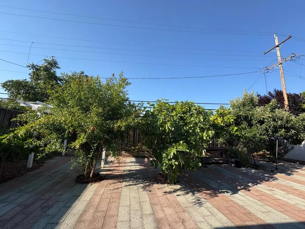 5187 Doyle Road San Jose, CA 95129