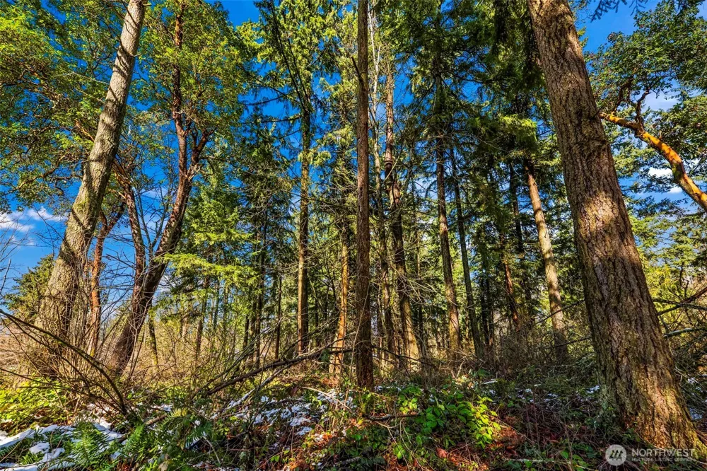 0 XX 14th Avenue SW Federal Way, WA 98023
