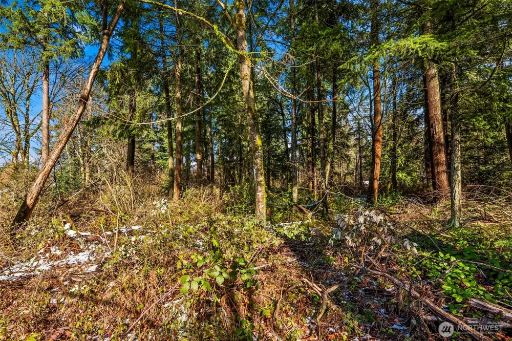 0 XX 14th Avenue SW Federal Way, WA 98023