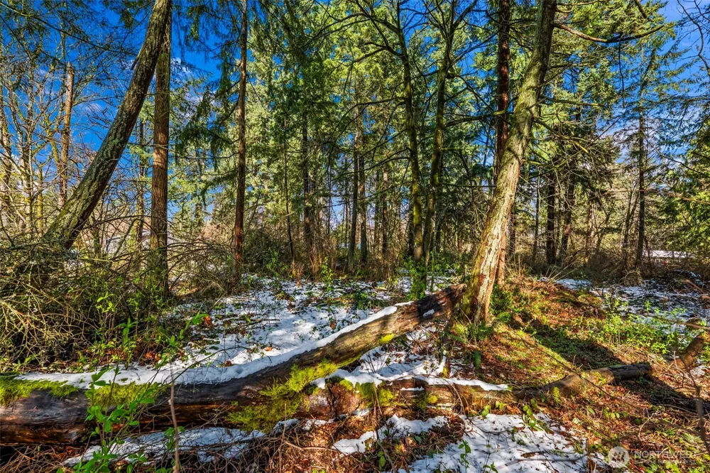 0 XX 14th Avenue SW Federal Way, WA 98023