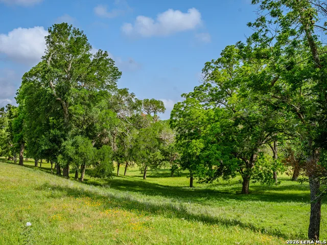 0000 Cypress River Ranch Comfort, TX 78013