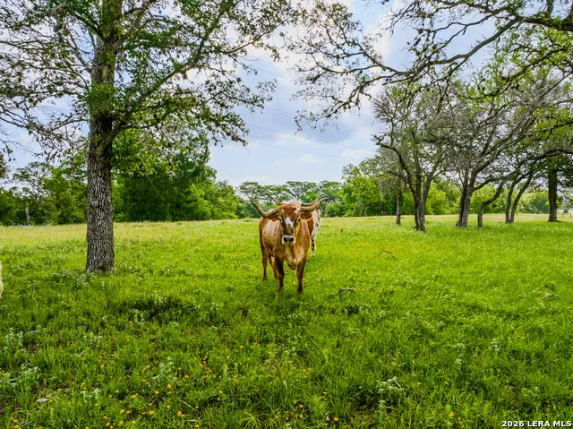 0000 Cypress River Ranch Comfort, TX 78013