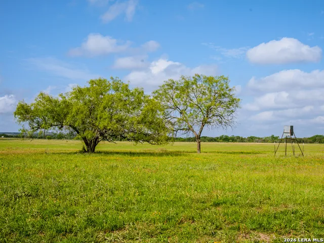 0000 Cypress River Ranch Comfort, TX 78013