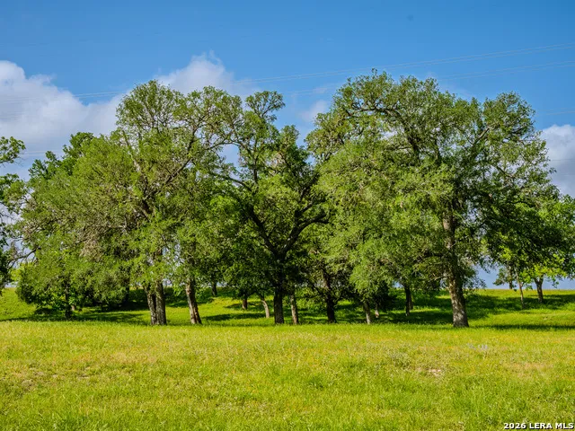 0000 Cypress River Ranch Comfort, TX 78013