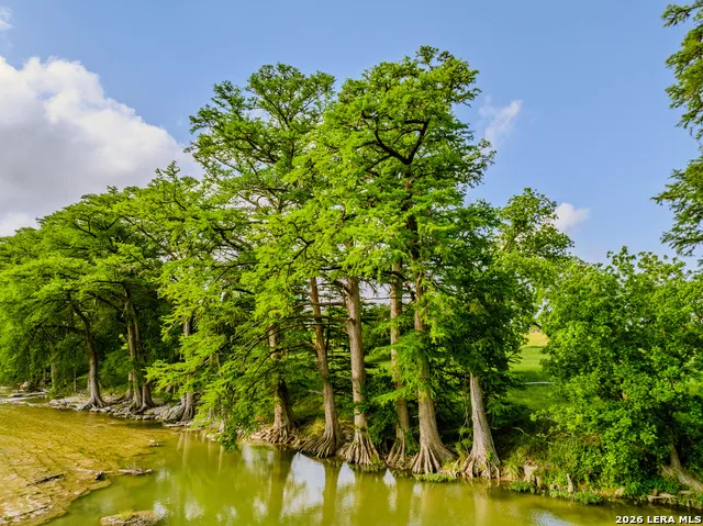 0000 Cypress River Ranch Comfort, TX 78013