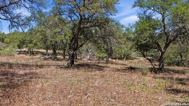 11387 FM 32 Fischer, TX 78623