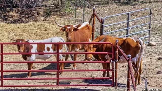 11387 FM 32 Fischer, TX 78623
