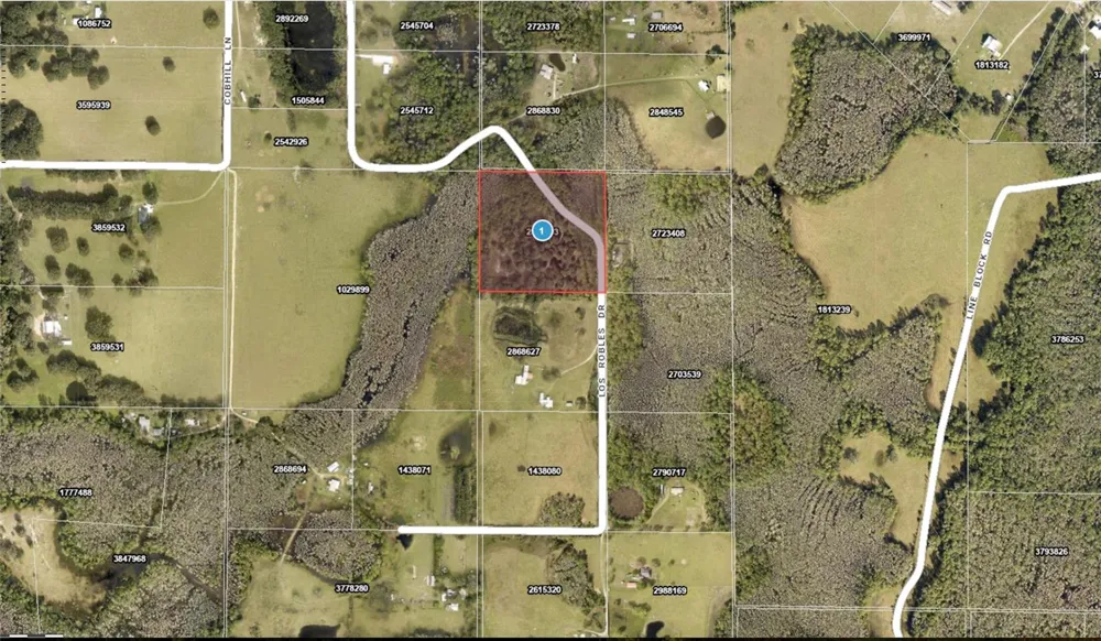 LOS ROBLES DRIVE Groveland, FL 34736
