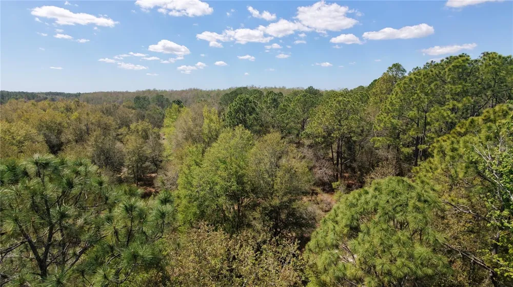 LOS ROBLES DRIVE Groveland, FL 34736