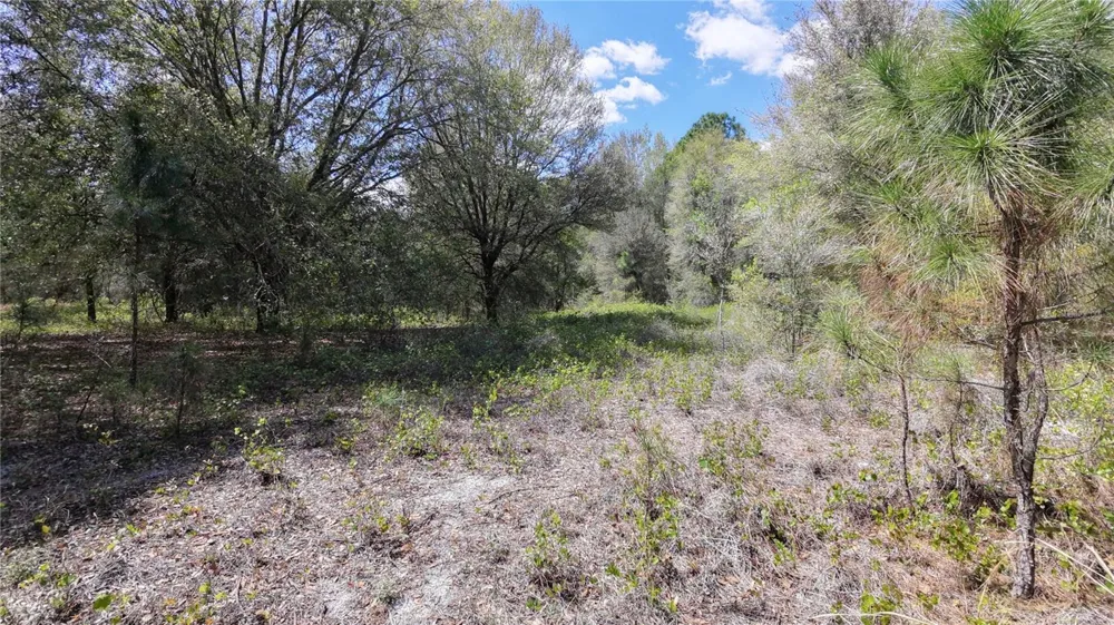 LOS ROBLES DRIVE Groveland, FL 34736