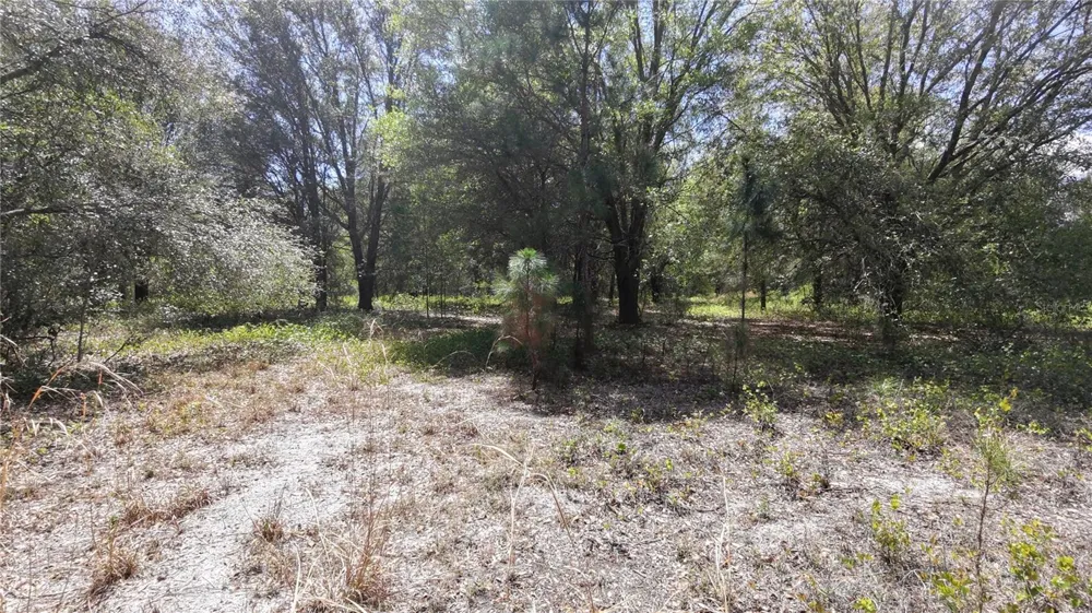 LOS ROBLES DRIVE Groveland, FL 34736