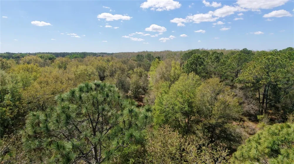 LOS ROBLES DRIVE Groveland, FL 34736