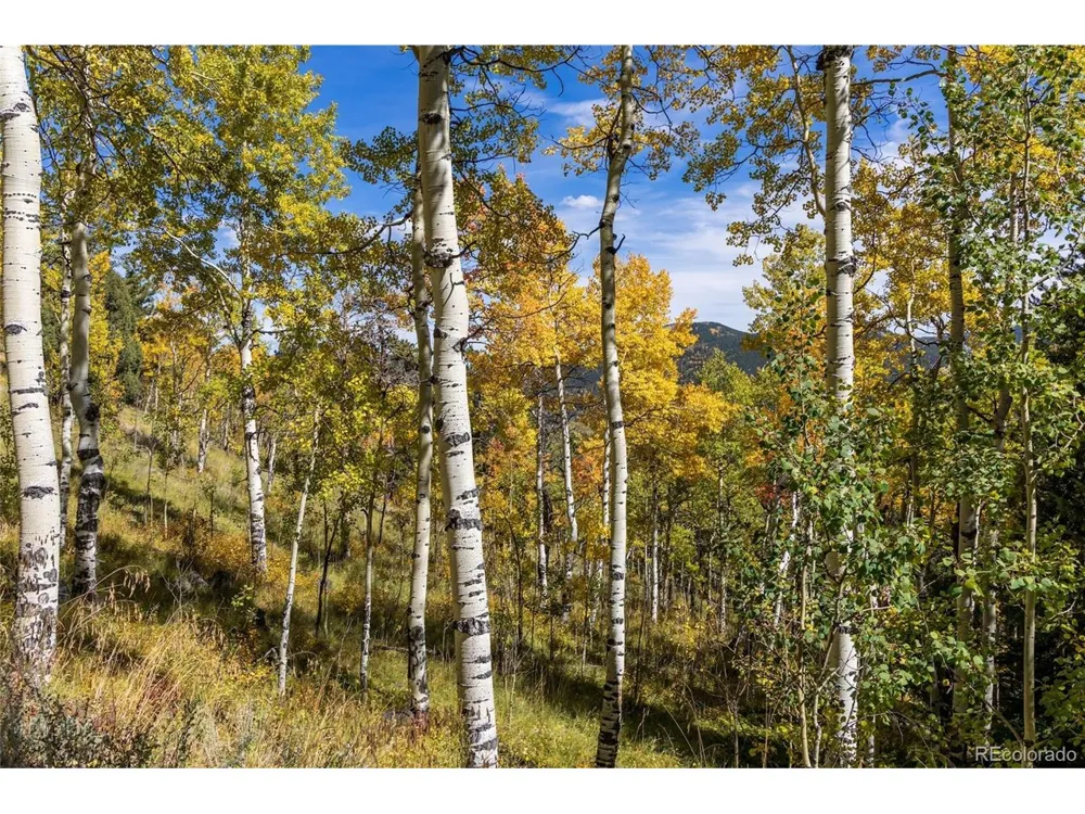 2 Seldom Seen Road Golden, CO 80403