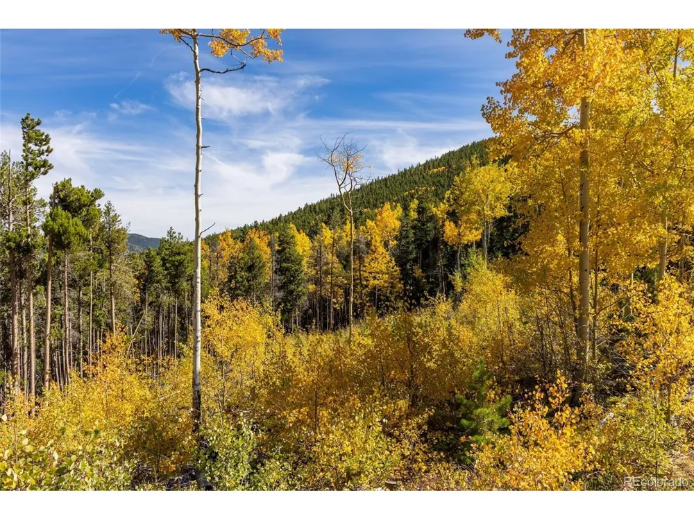 1 Seldom Seen Road Golden, CO 80403
