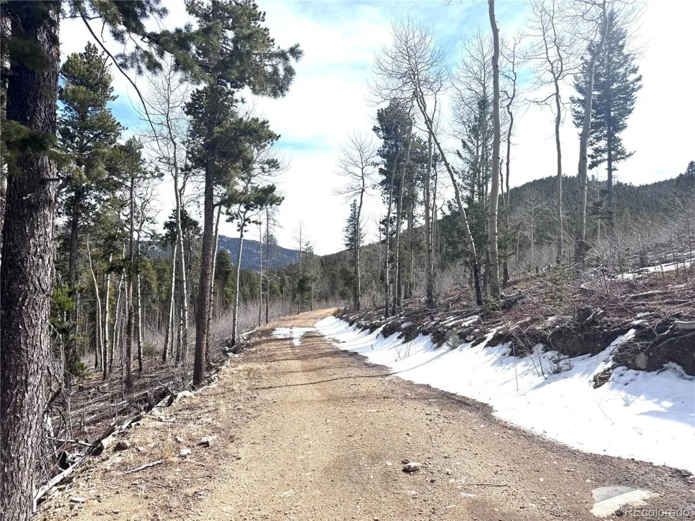 1 Seldom Seen Road Golden, CO 80403