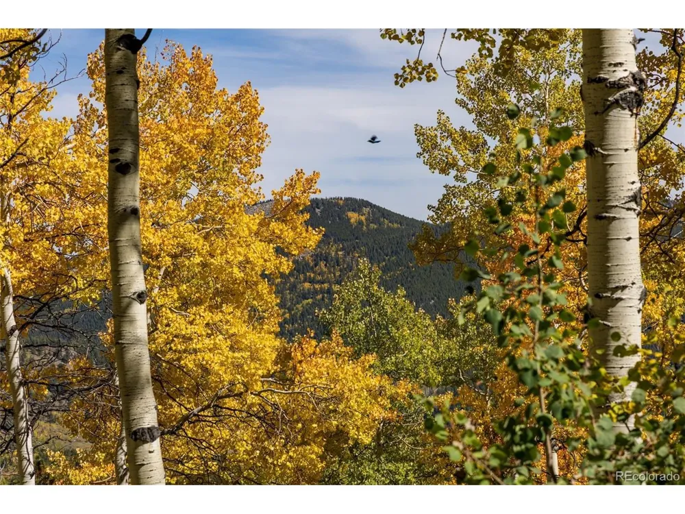 1 Seldom Seen Road Golden, CO 80403