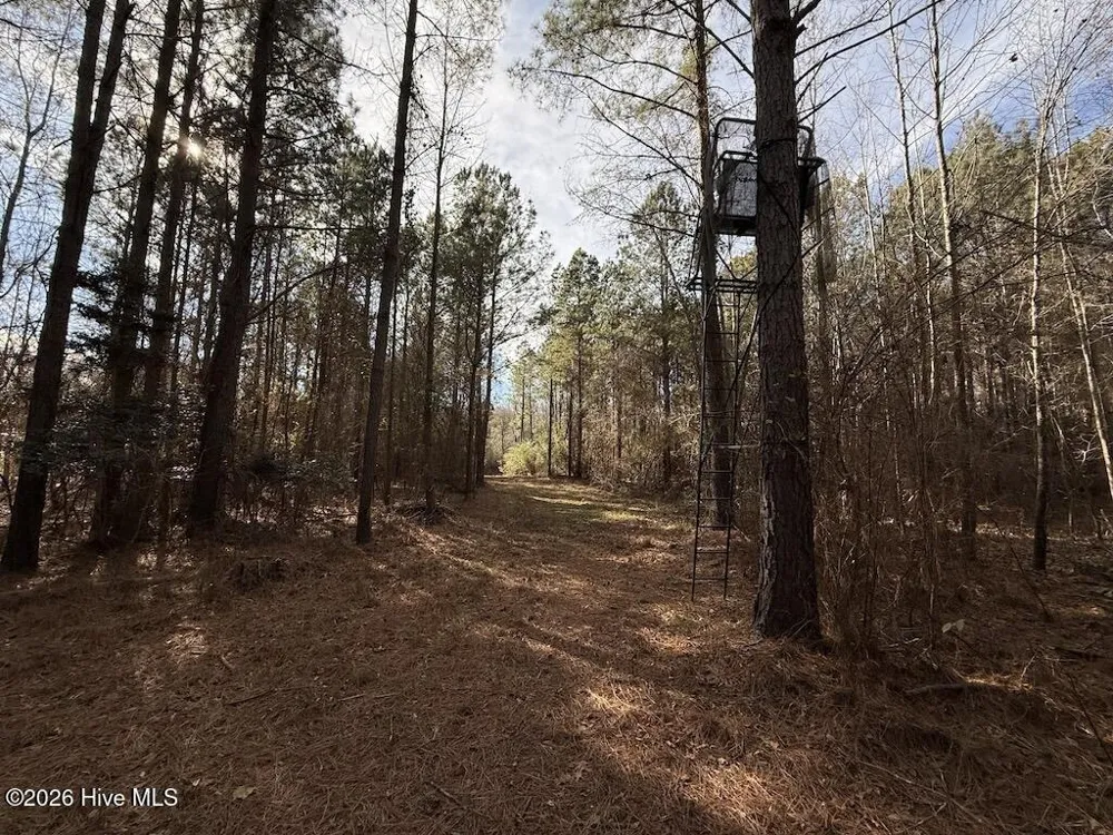 00 Highway 42 Tarboro, NC 27886