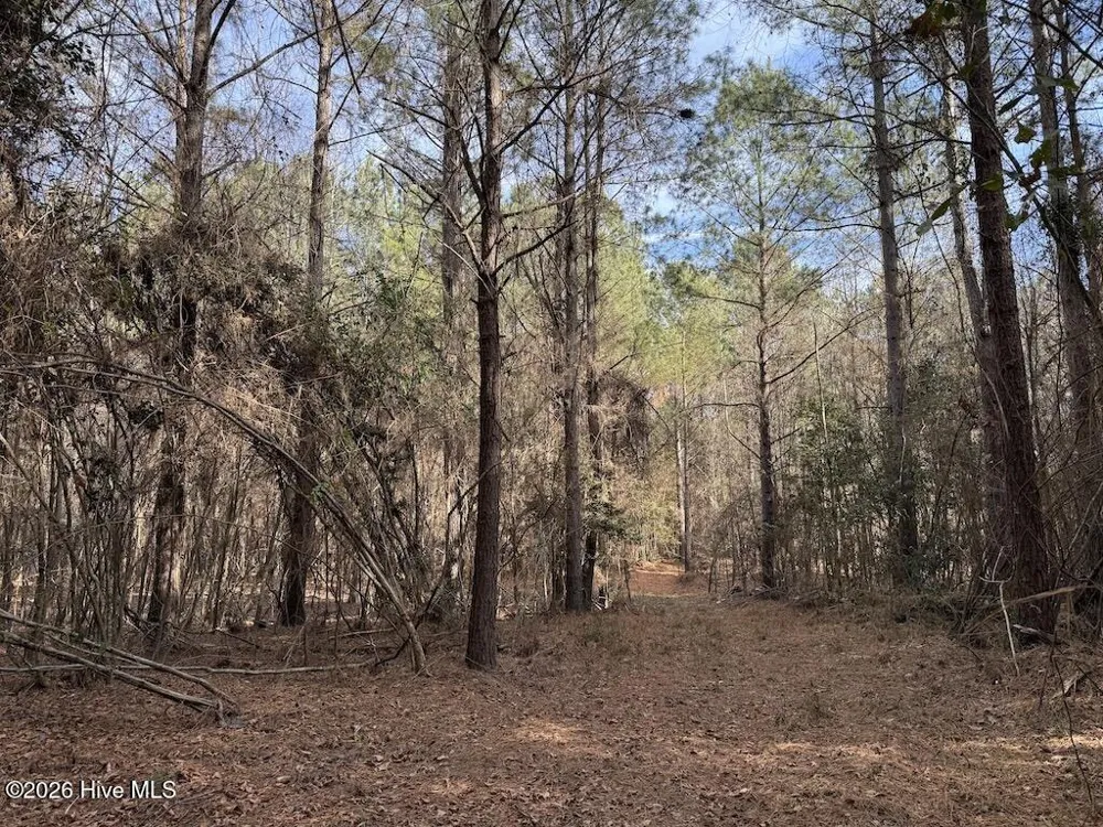 00 Highway 42 Tarboro, NC 27886