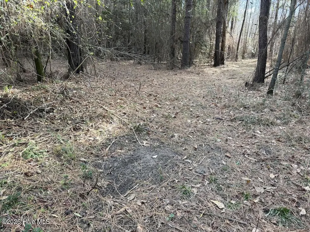 00 Highway 42 Tarboro, NC 27886