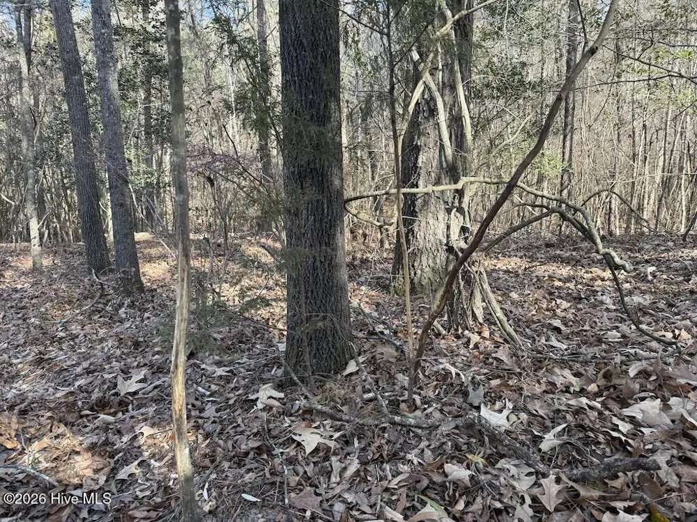 00 Highway 42 Tarboro, NC 27886