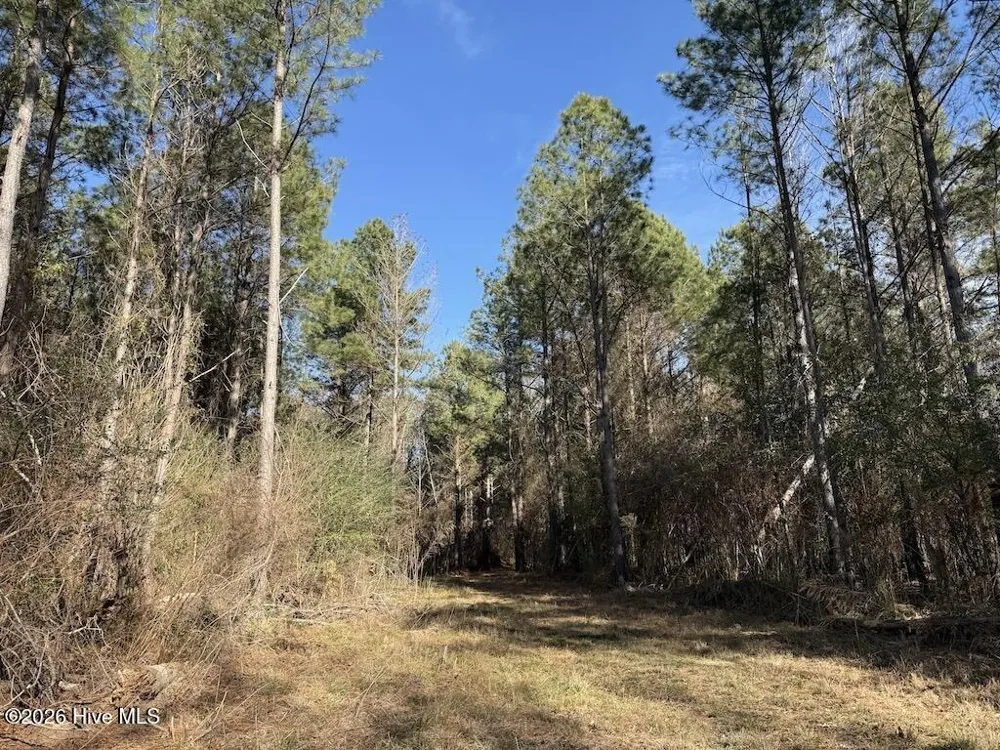 00 Highway 42 Tarboro, NC 27886
