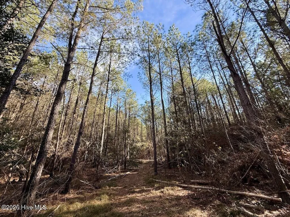00 Highway 42 Tarboro, NC 27886