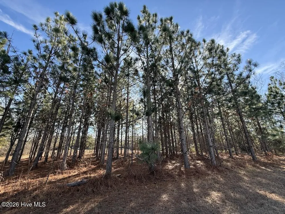 00 Highway 42 Tarboro, NC 27886