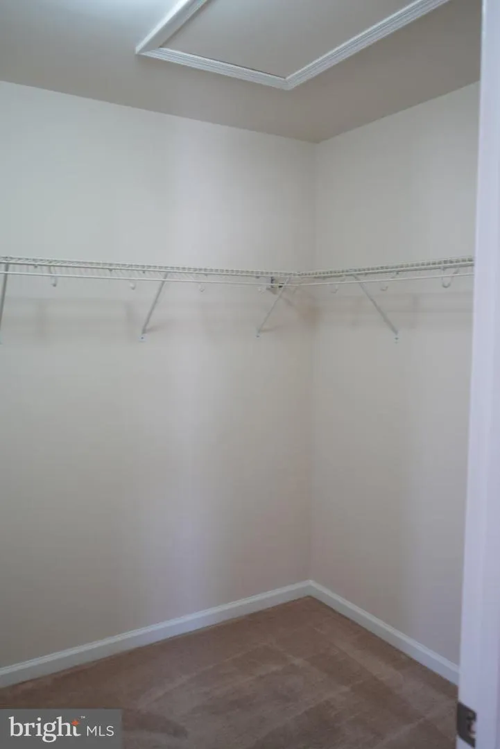 11287 SAINT CHRISTOPHER DRIVE White Plains, MD 20695